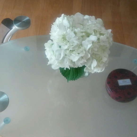 Meet your Posher, Flavia - Picture 1 of 1